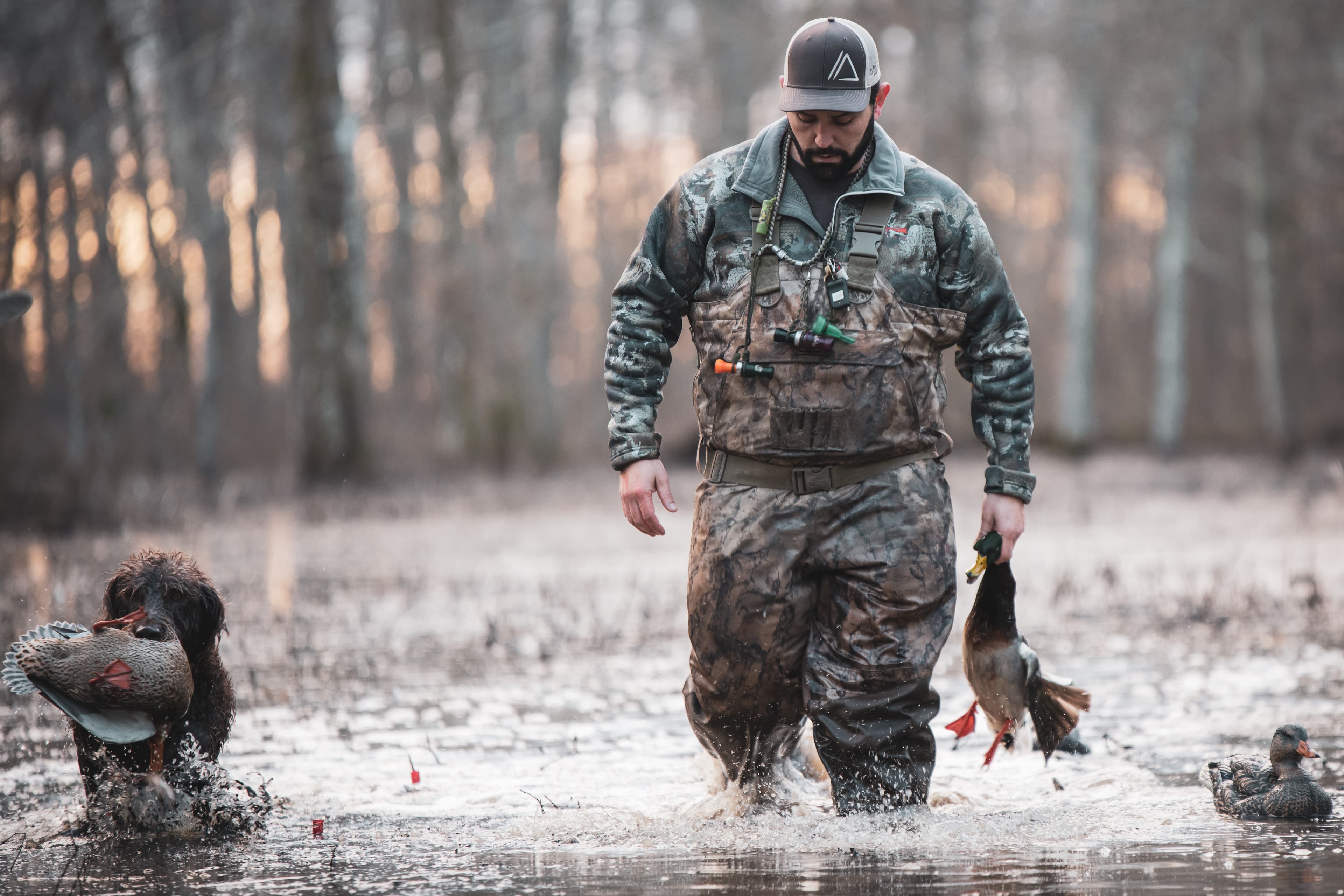 Heath with Duck